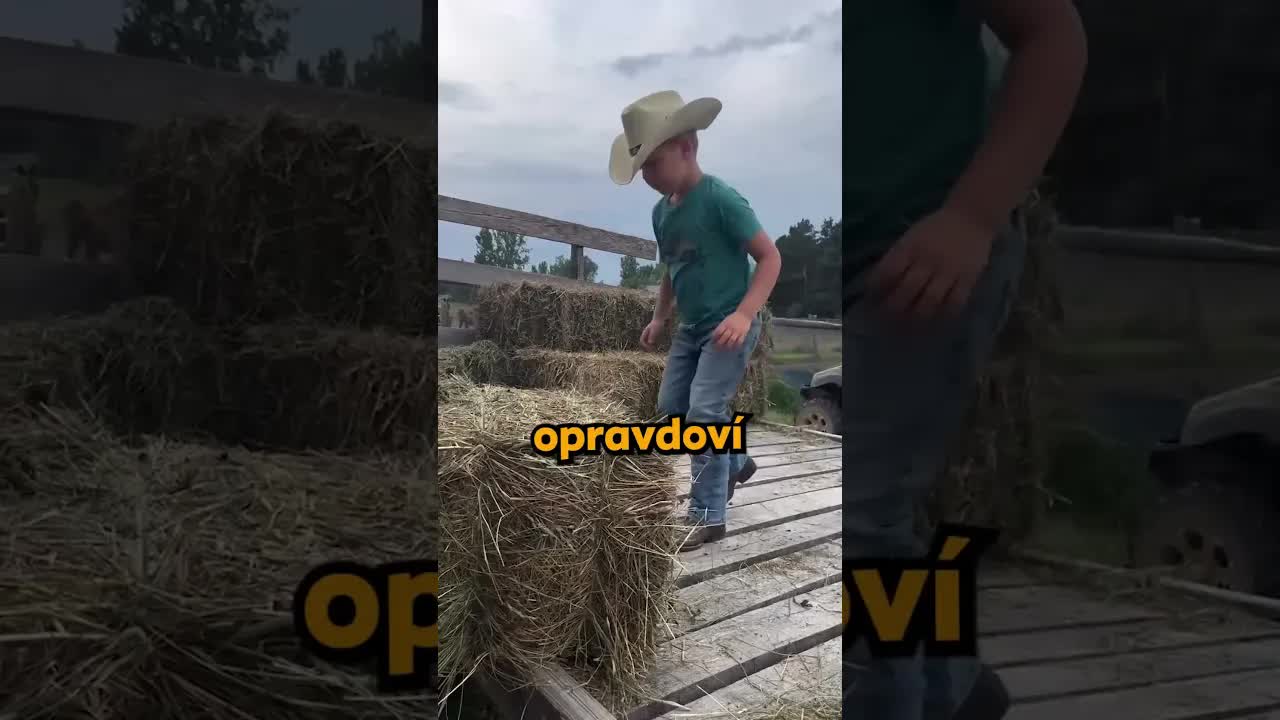 Bratři pomáhají dědečkovi na farmě