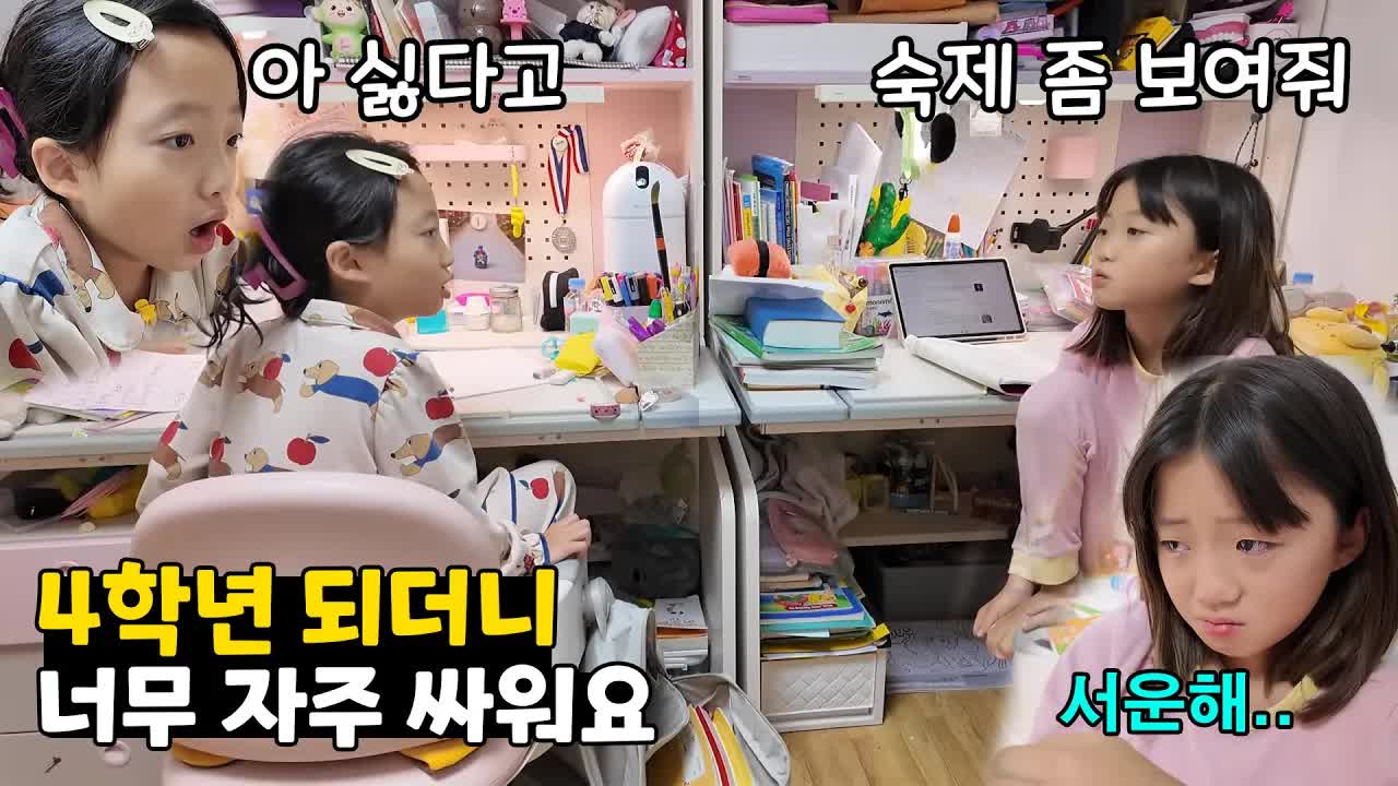 쌍둥이의 하루: 숙제 싸움과 고양이 놀이
