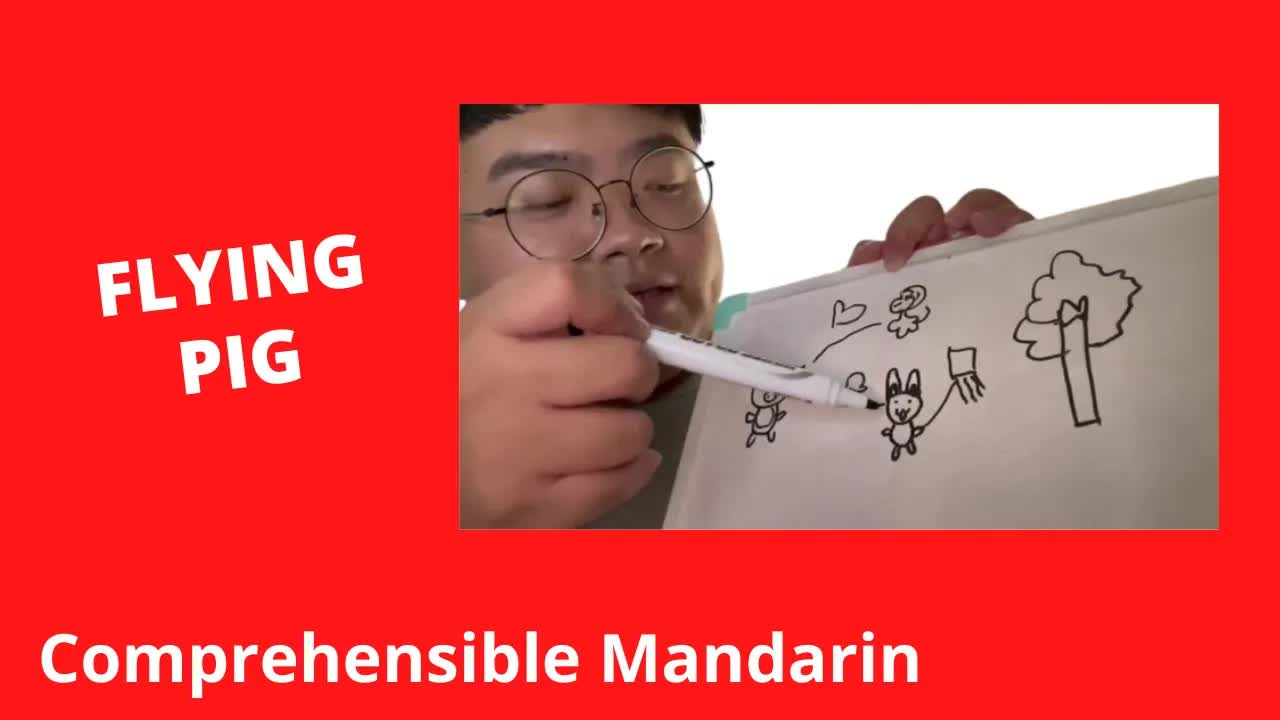会飞的小猪的故事