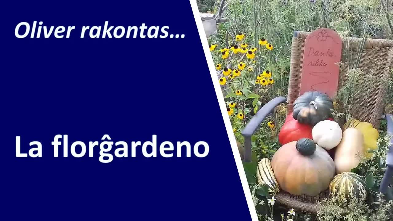 Vizito al la bela florĝardeno kaj kaŝejo