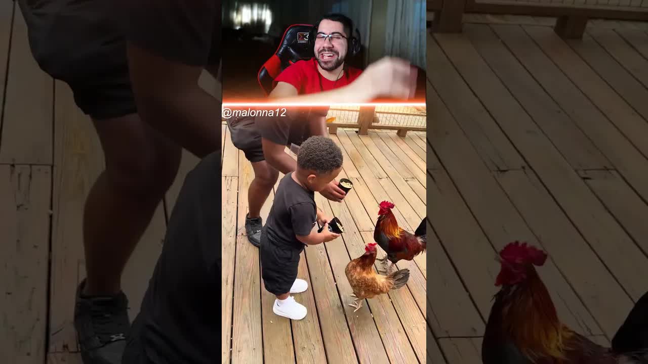 أب يُذل من أجل دجاجة صغيرة