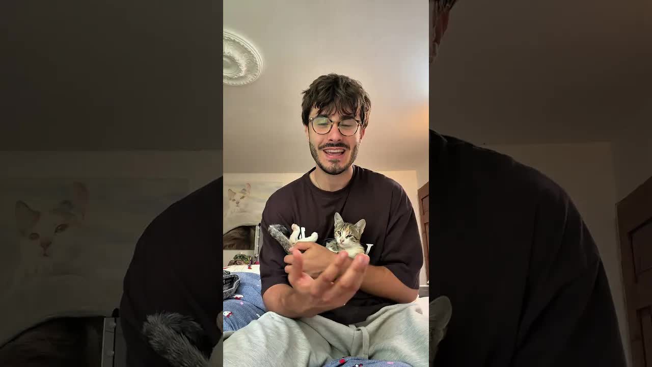 Chili bleibt bei uns 🐱