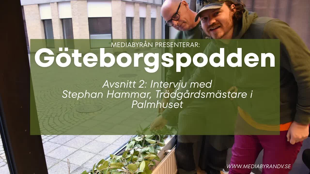 Intervju med trädgårdsmästaren om Palmhuset i Göteborg