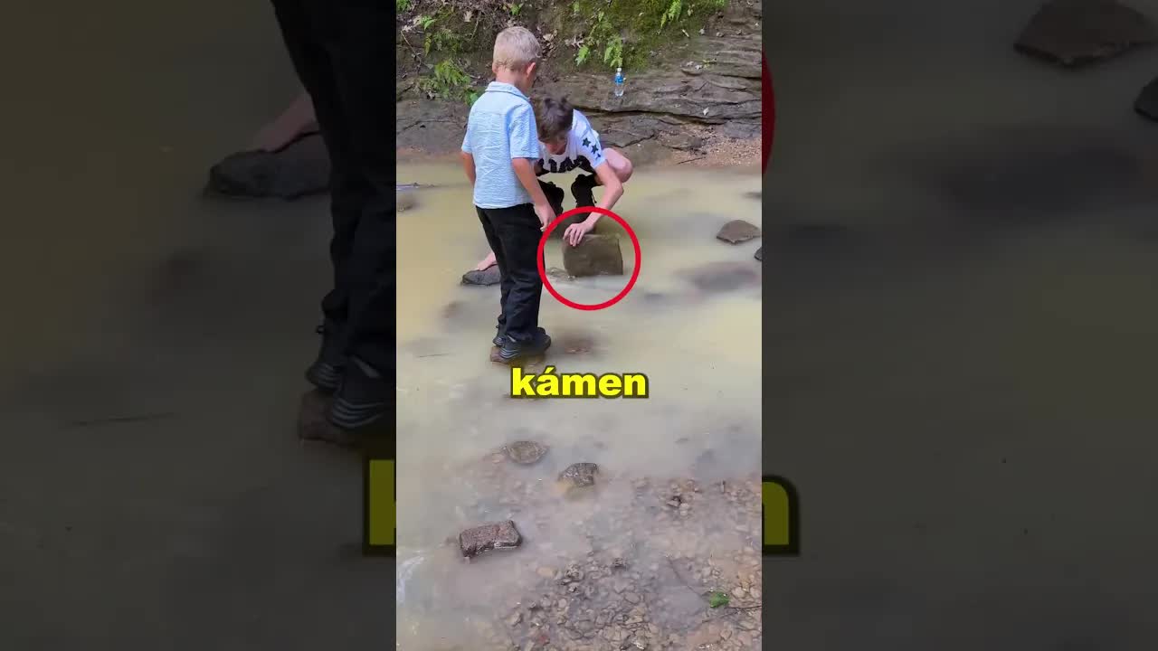 Bratrská láska: Příběh o pomoci sourozencům