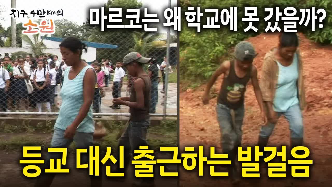 마르코의 등교 대신 출근