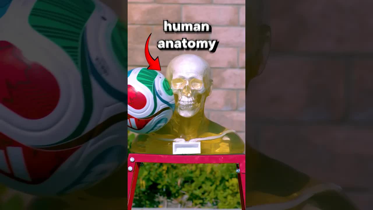 Testing the Deadliest Sports with a Dummy Head