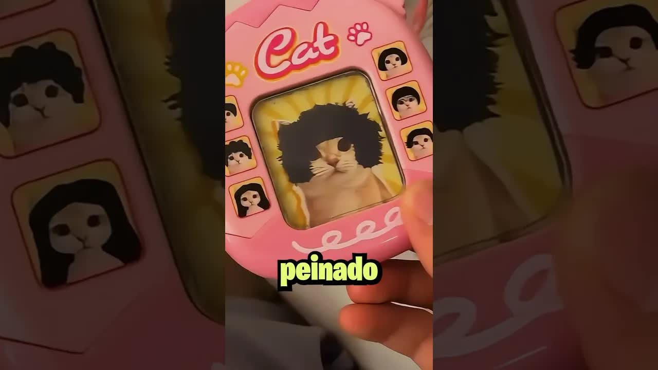 Un chico dibuja un nuevo peinado a un gato