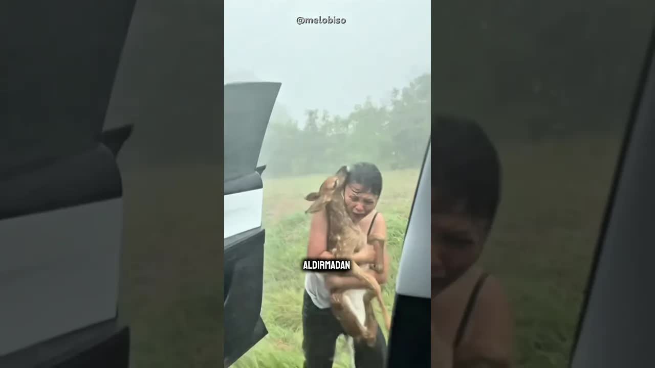 Yaralı Geyiği Kurtaran Kadının Mucizevi Hikayesi
