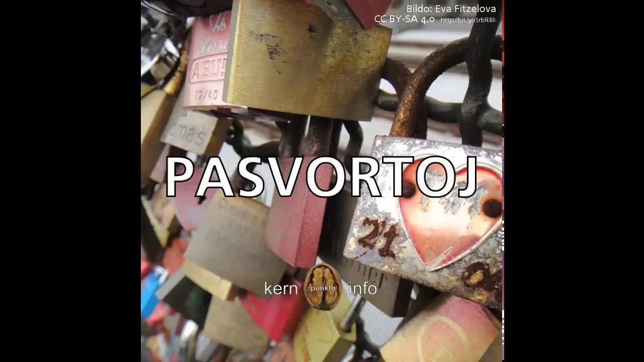 Kern.Punkto - 001 - Pasvortoj