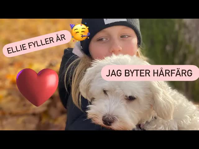 Ellie fyller ett år och vi firar med godis
