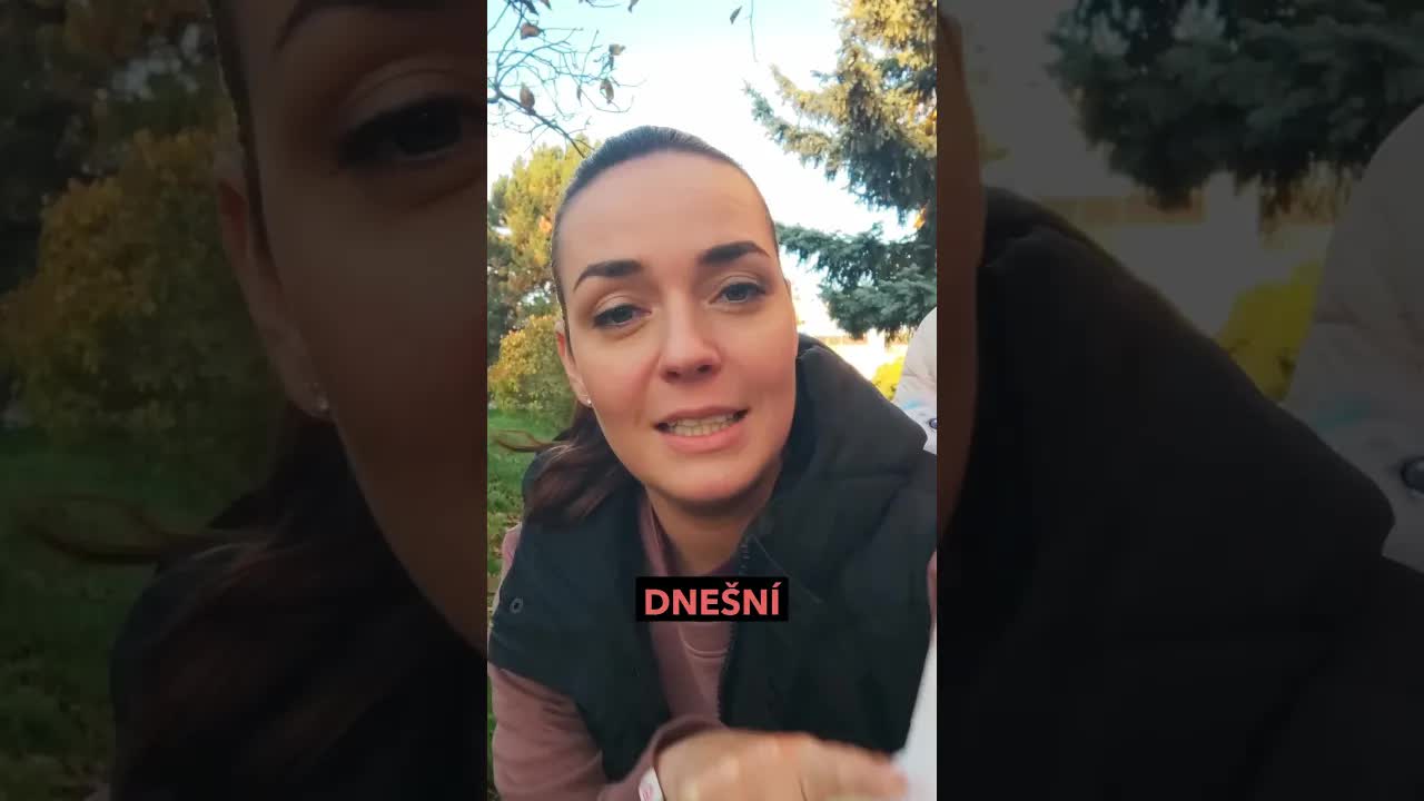 Které zvíře je nejrychlejší na světě?