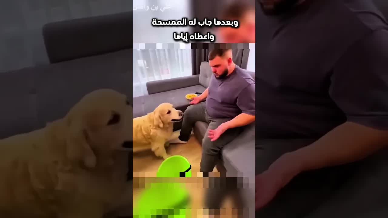 كلب يعاقب شابًا بعد إهانة أمه