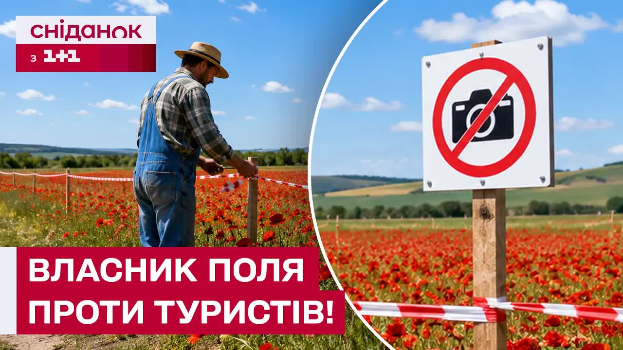 Макове поле: тренд чи приватна власність?