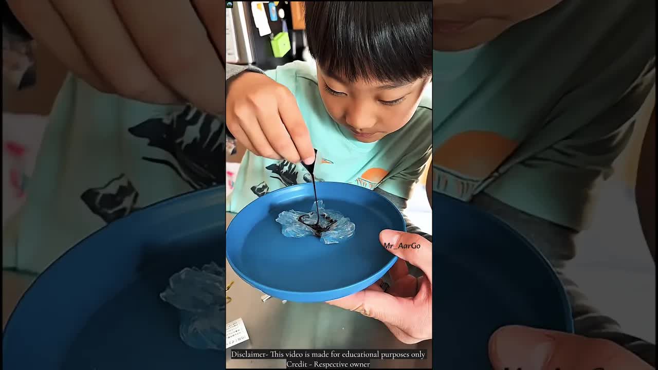 ஜப்பானின் பிரபலமான கிஸ்கோரி இனிப்பு பற்றி