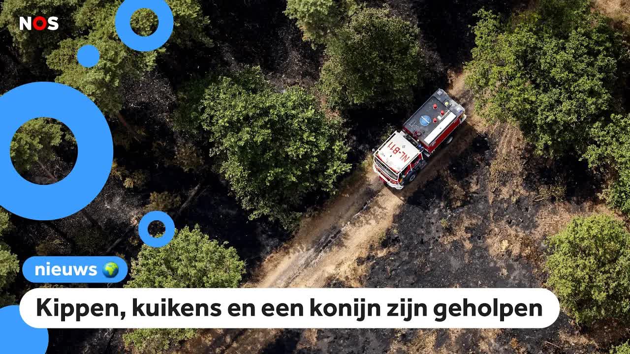 Dieren gered na bosbrand in Limburg