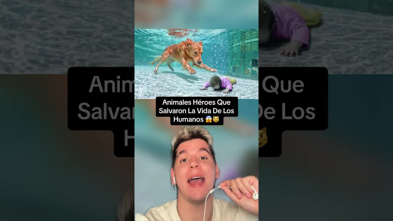 Animales héroes que salvaron vidas humanas