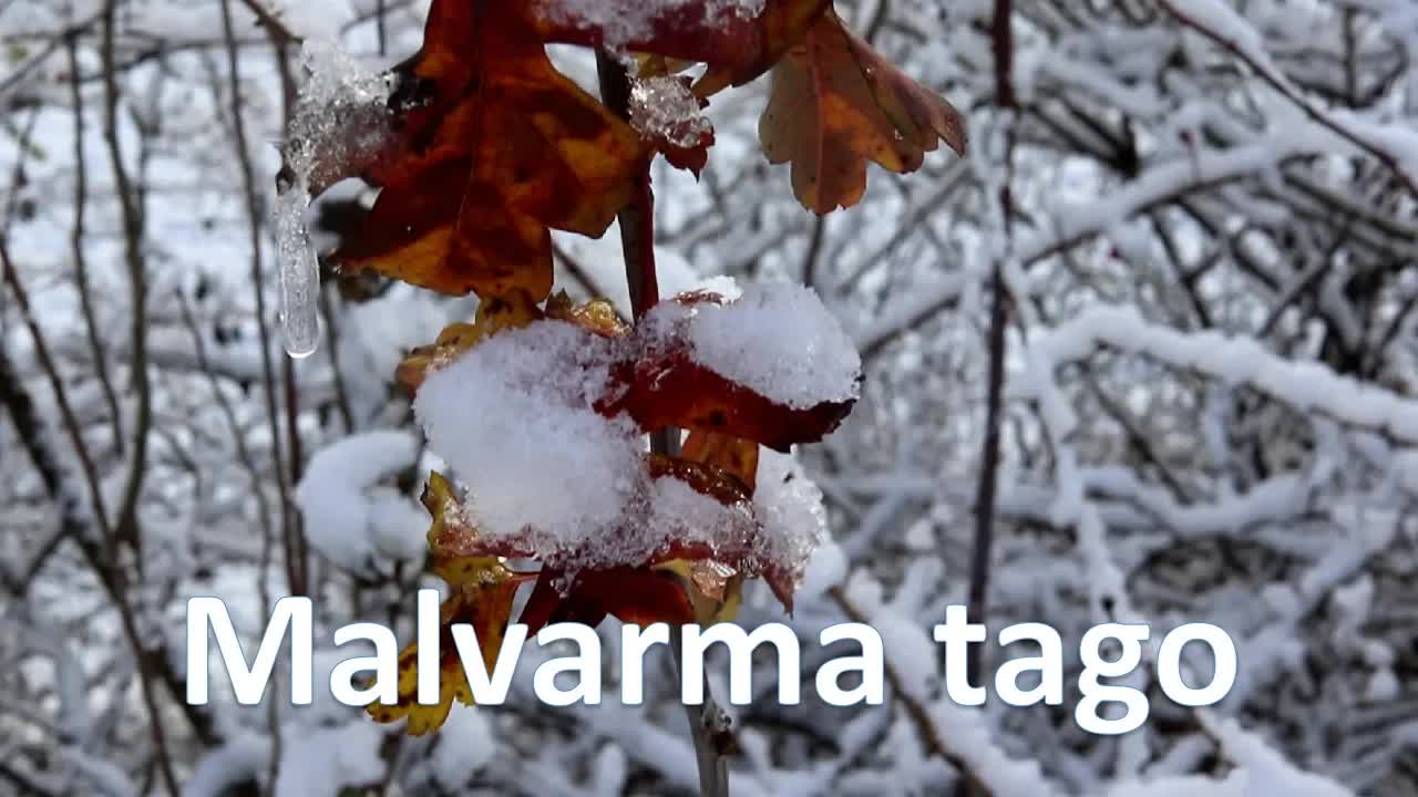 Belega pejzaĝo kaj malvarma tago
