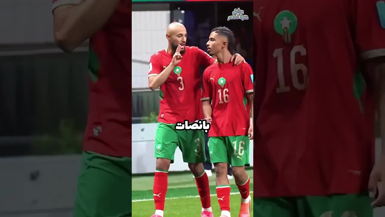 لقطة نصير مزراوي التي هزت العالم