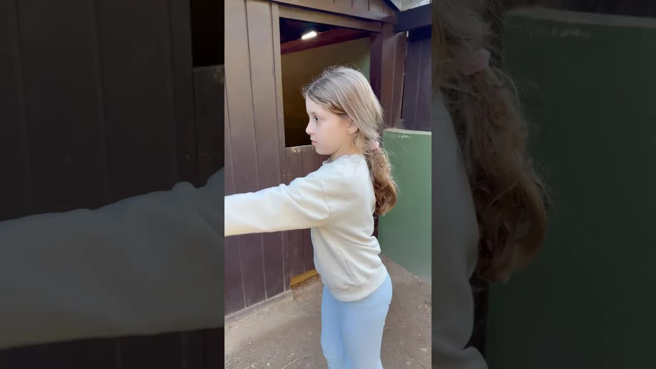 Esse cavalo parece com Ana Clara