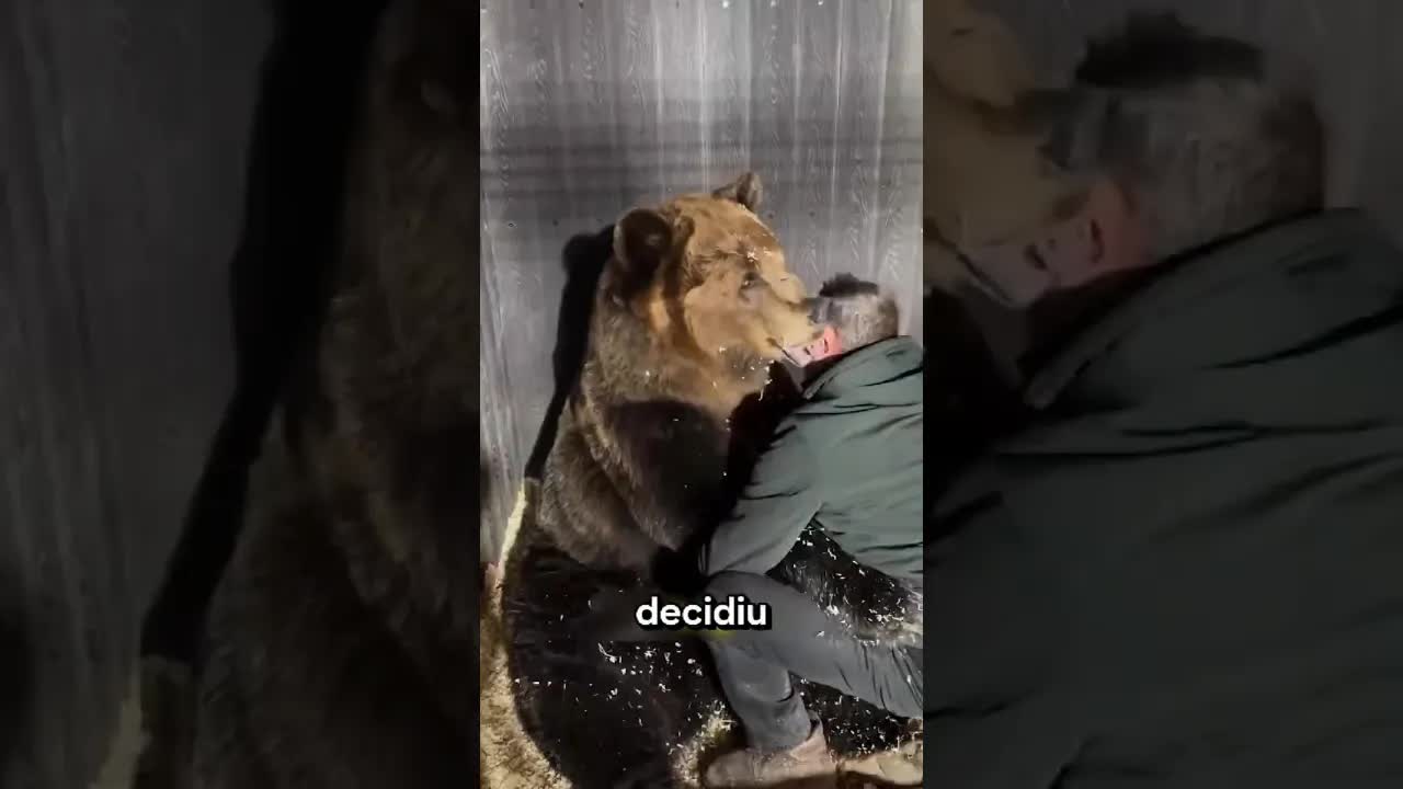 Momentos emocionantes de animais filmados