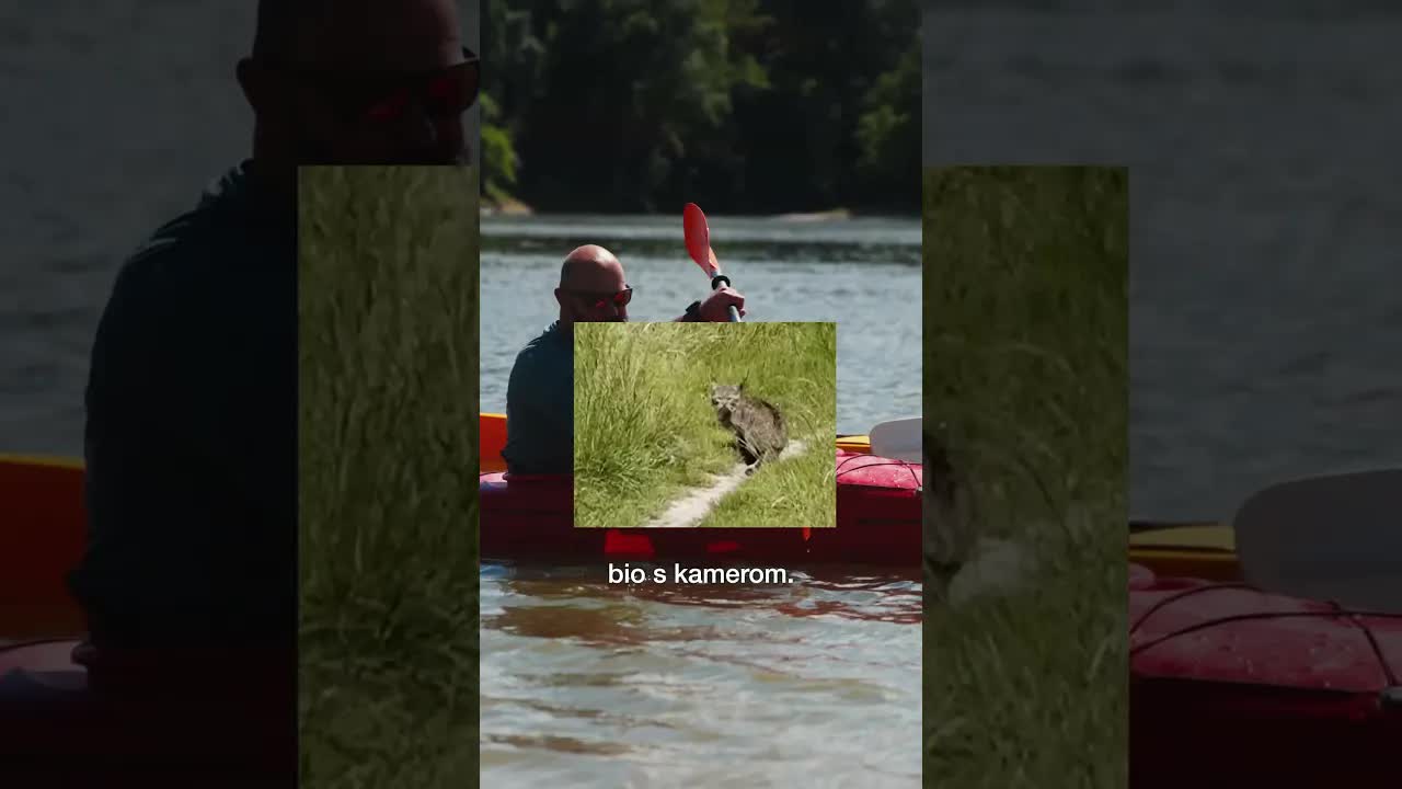 Apatinski „Havaji“ i kajak u Gornjem Podunavlju