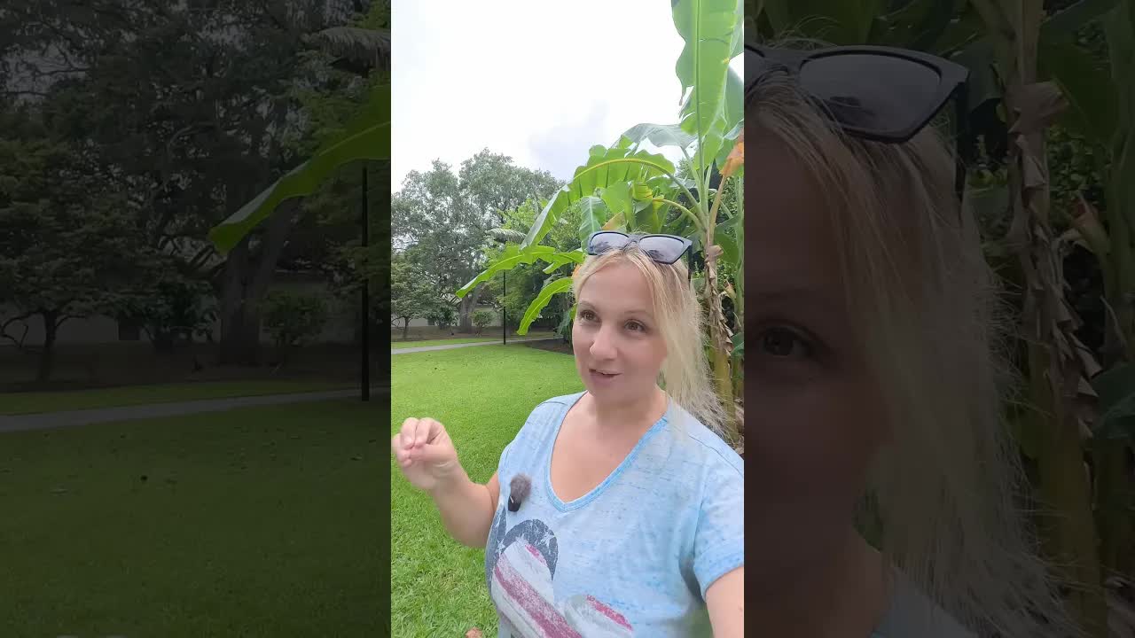 Mi az a tamarind? Hol kapható Magyarországon?