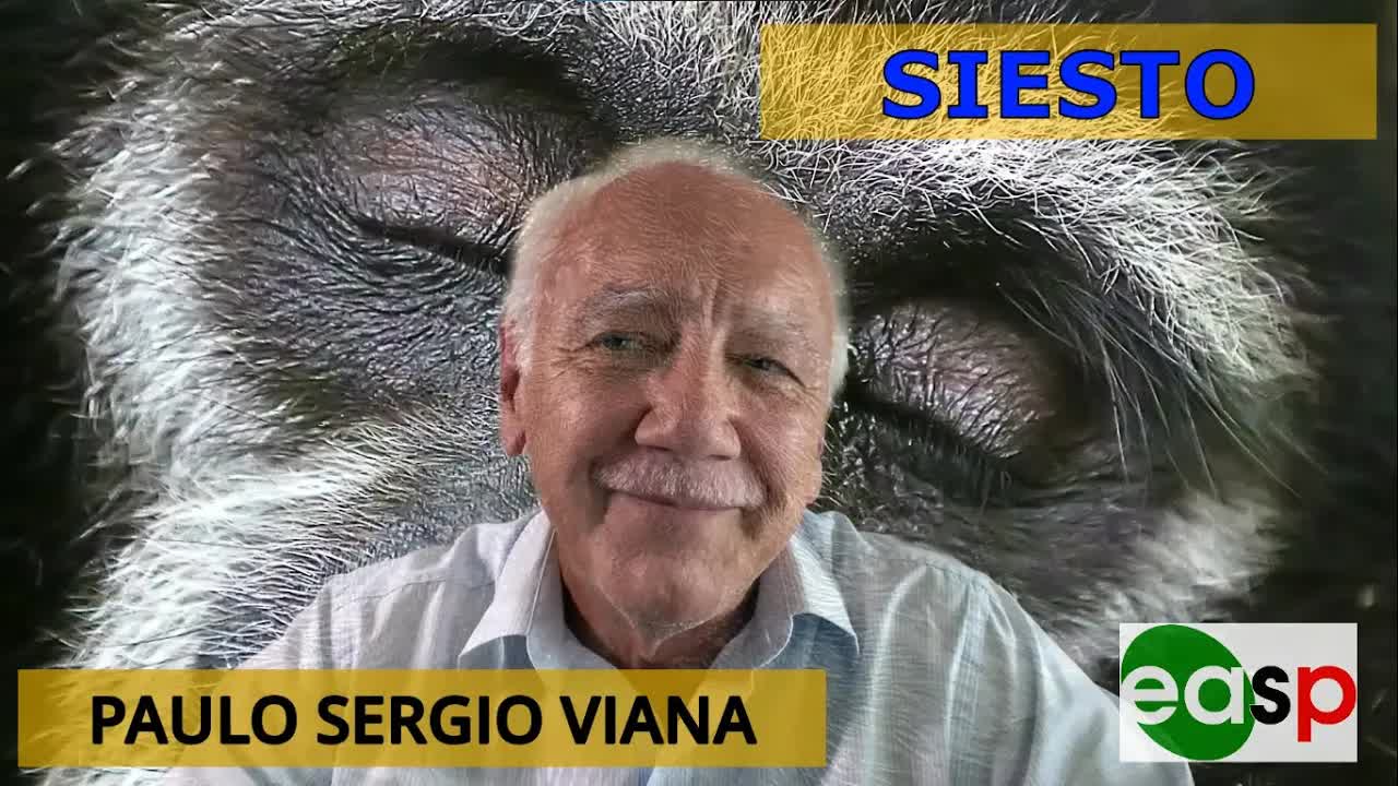 La Sanaj Efikoj de la Siesto