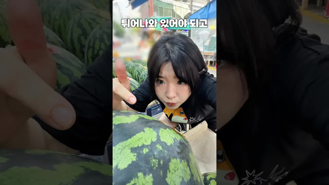 맛있는 수박 고르는 법 직접 테스트해 봤습니다