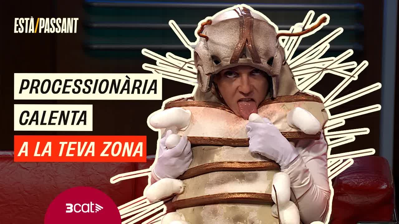 Una eruga processionària es reivindica com a mascota