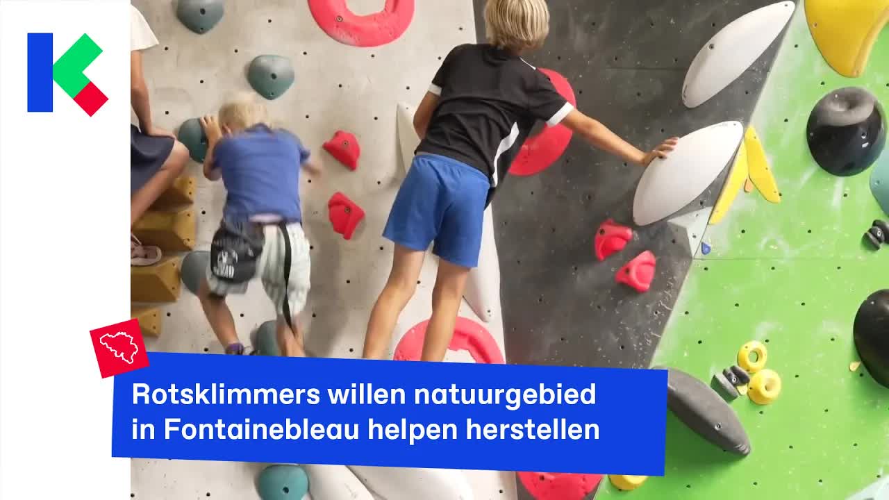Klimmers helpen natuurbrand in Fontainebleau herstellen