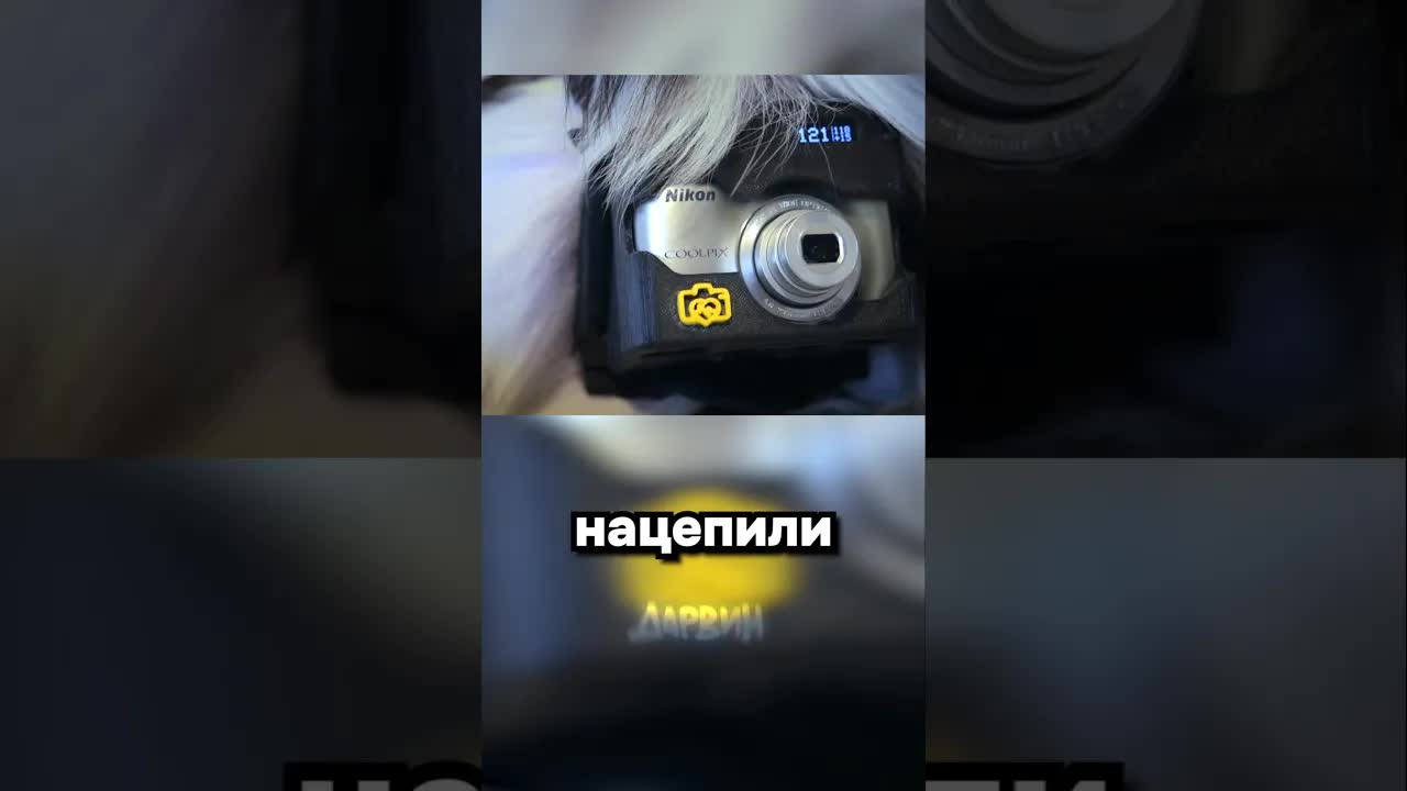 Самый счастливый фотограф: собака Гризли