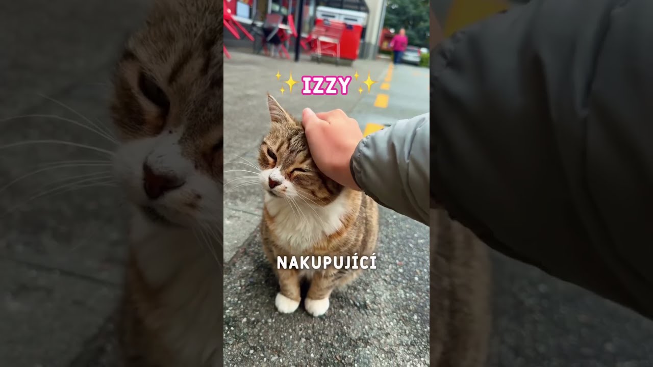 Kočka vítající nakupující z celého světa