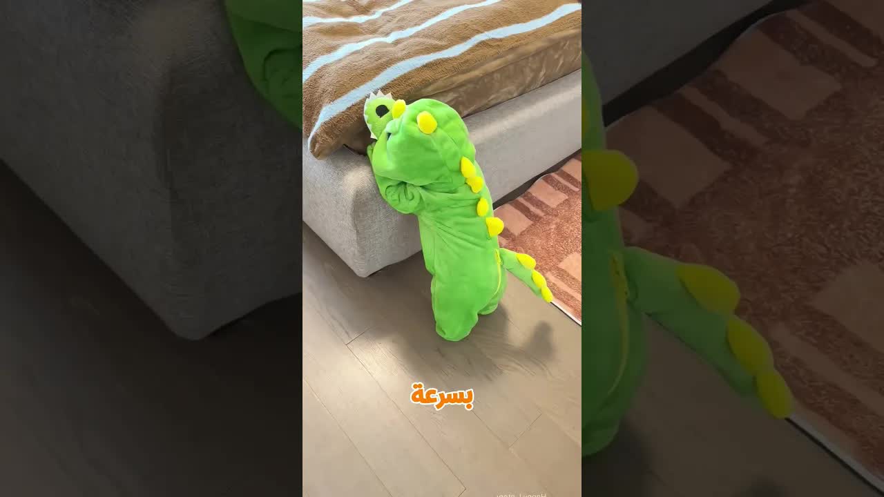 مقلب تبديل الطفل والكلب