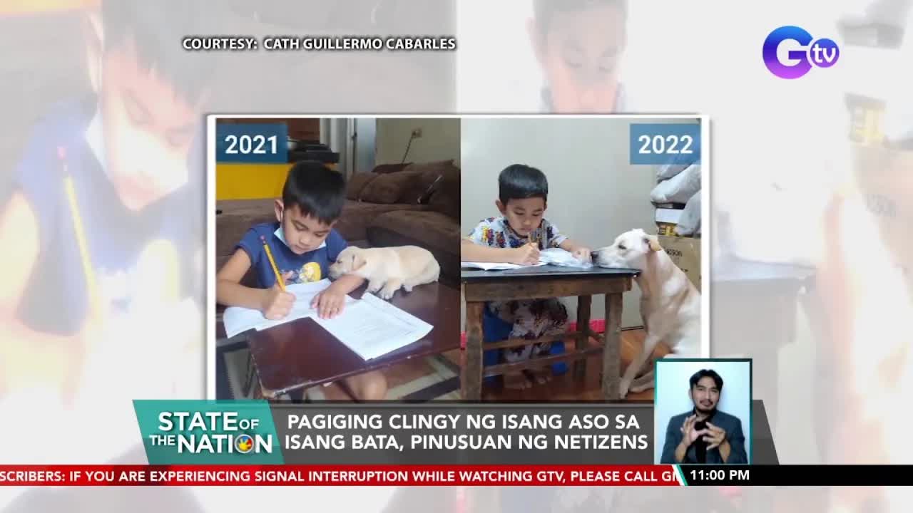 Clingy na aso, laging nakabuntot sa bata