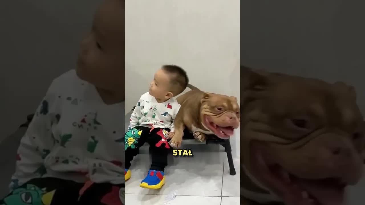 Matka i syn ratują niechcianego psa ze schroniska