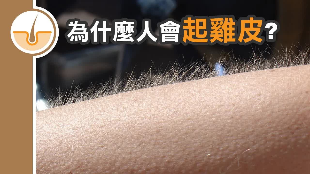 點解人類會起雞皮疙瘩？