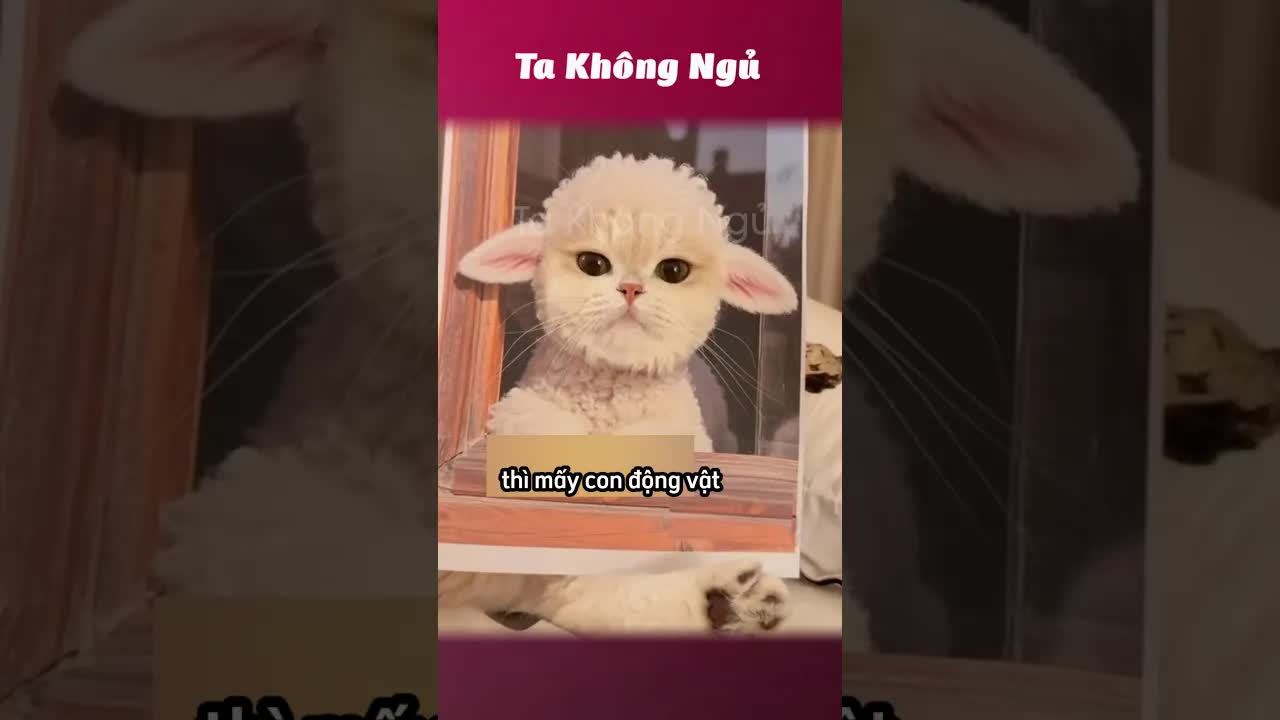 Các con vật kêu như thế nào?