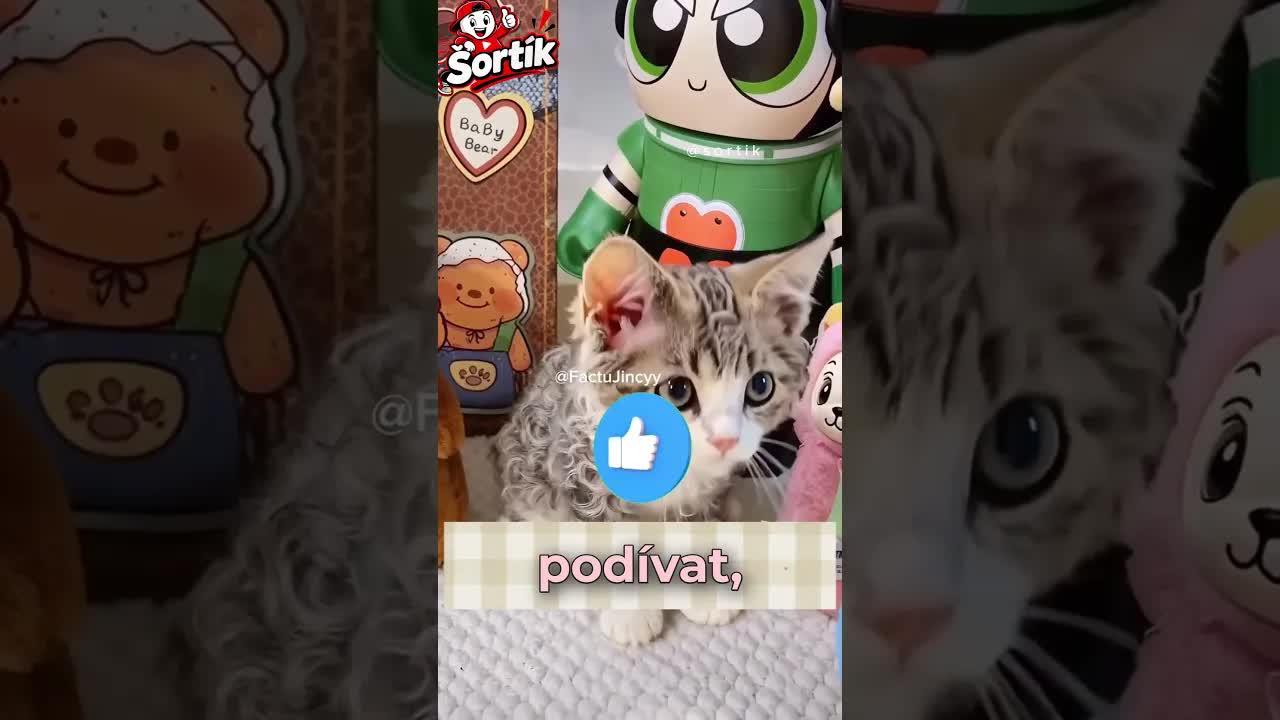 Chytrý muž a mýdlo vs. zvědavá kočička