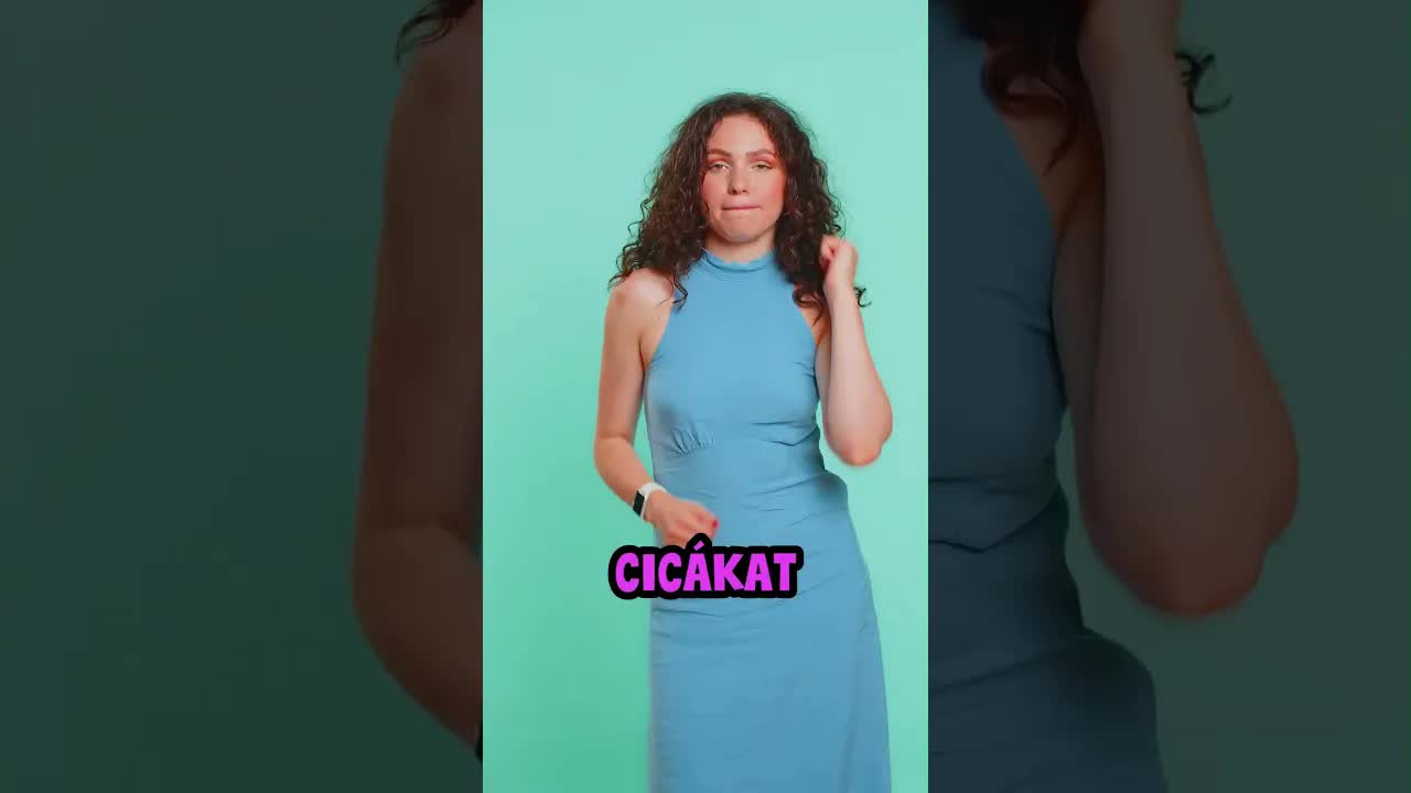 Miért szeretik a cicák a kartondobozokat?