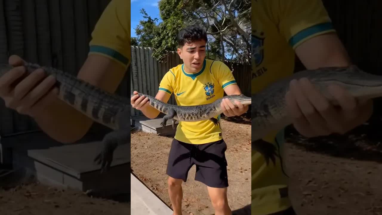 Tirando um jacaré da piscina