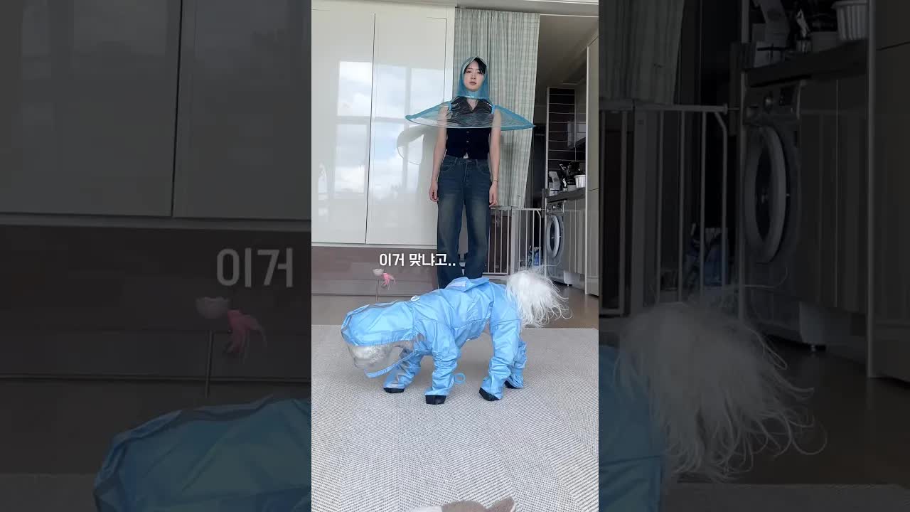 강아지와 함께한 웃긴 실험 모음
