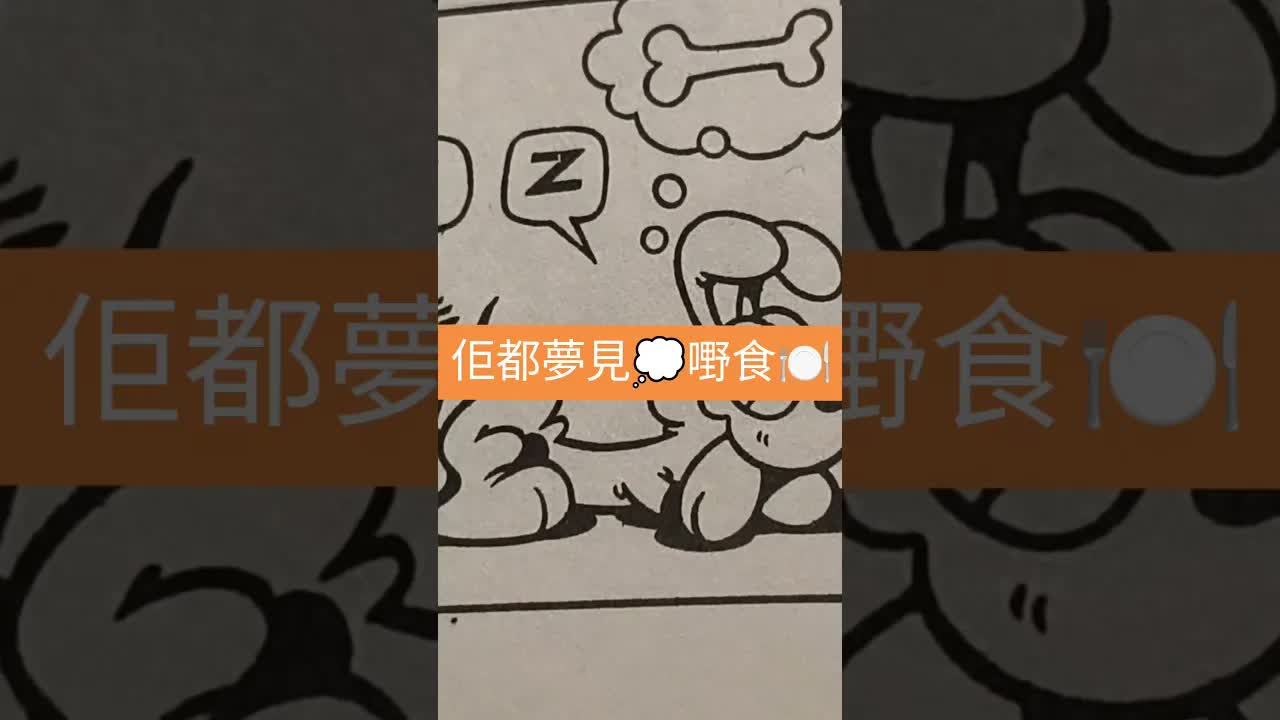 加菲貓發夢見美食