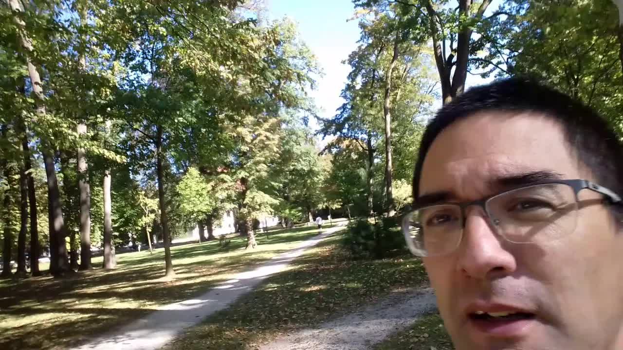 Mi promenas al la universitato