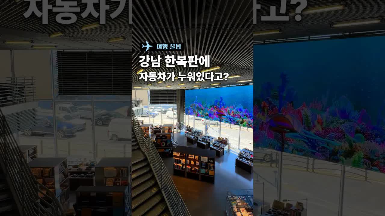 서울 강남의 무료 자동차 체험 공간