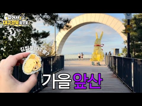 가을 앞산 등반과 드라이브스루 김밥 DT 일상