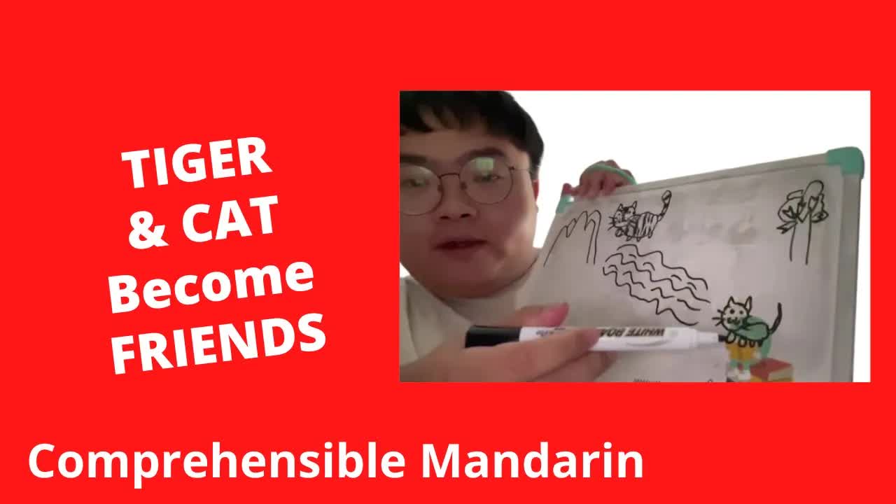 小老虎和小猫的友情故事