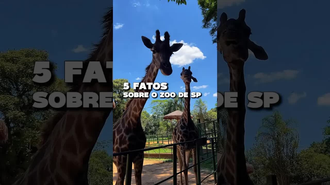 5 Fatos Surpreendentes sobre o Zoológico de São Paulo