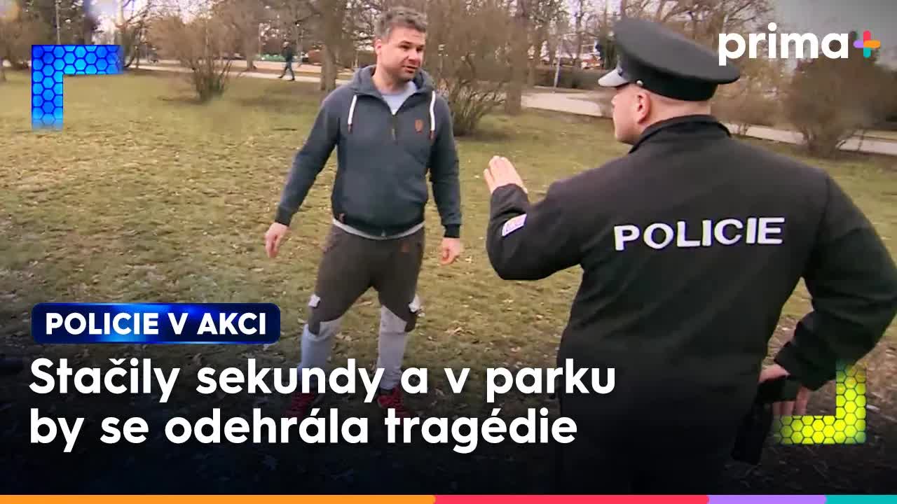Přepadení v parku: Reálná policie v akci