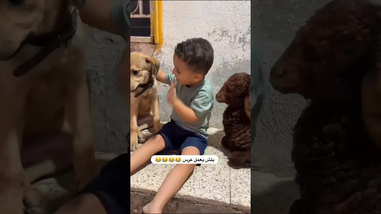 زواج الخروف من العروس في الأردن