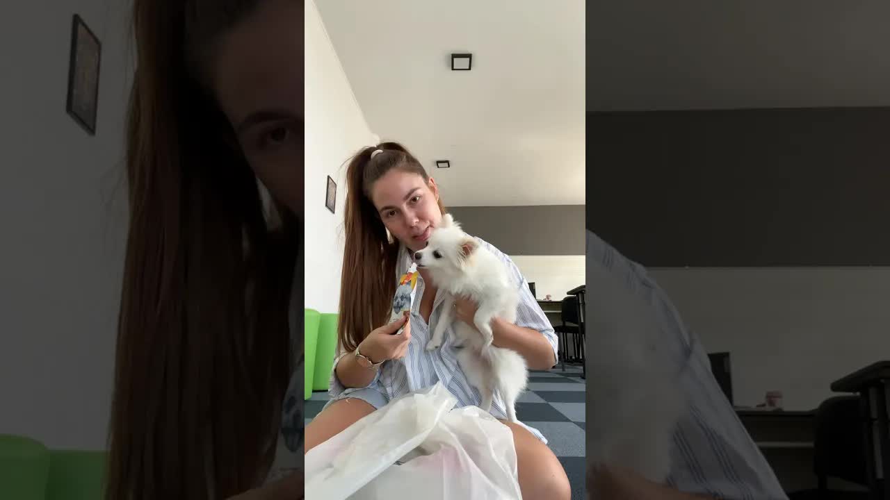 Kupovina stvari za psa Lilo i recenzija